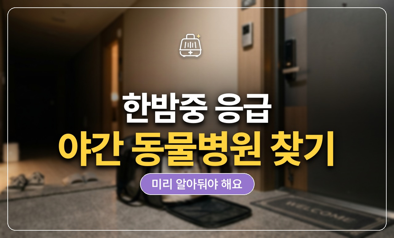 24시 동물병원 찾기