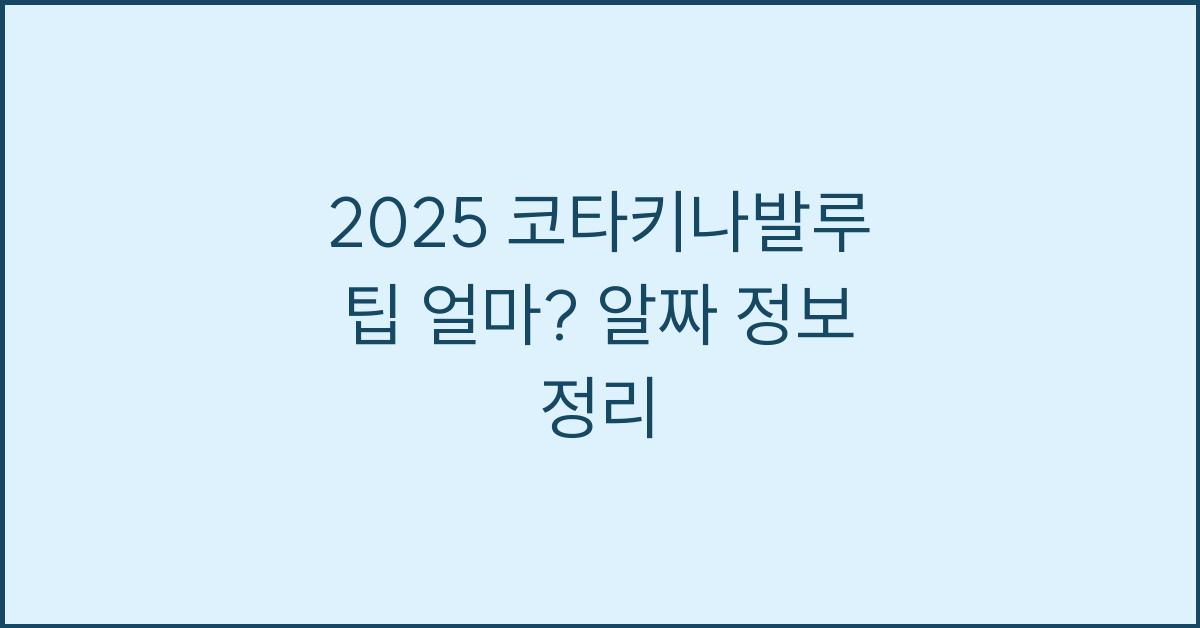 2025 코타키나발루 팁 얼마