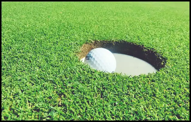 파크골프의 기본자세 (+ 퍼터 )