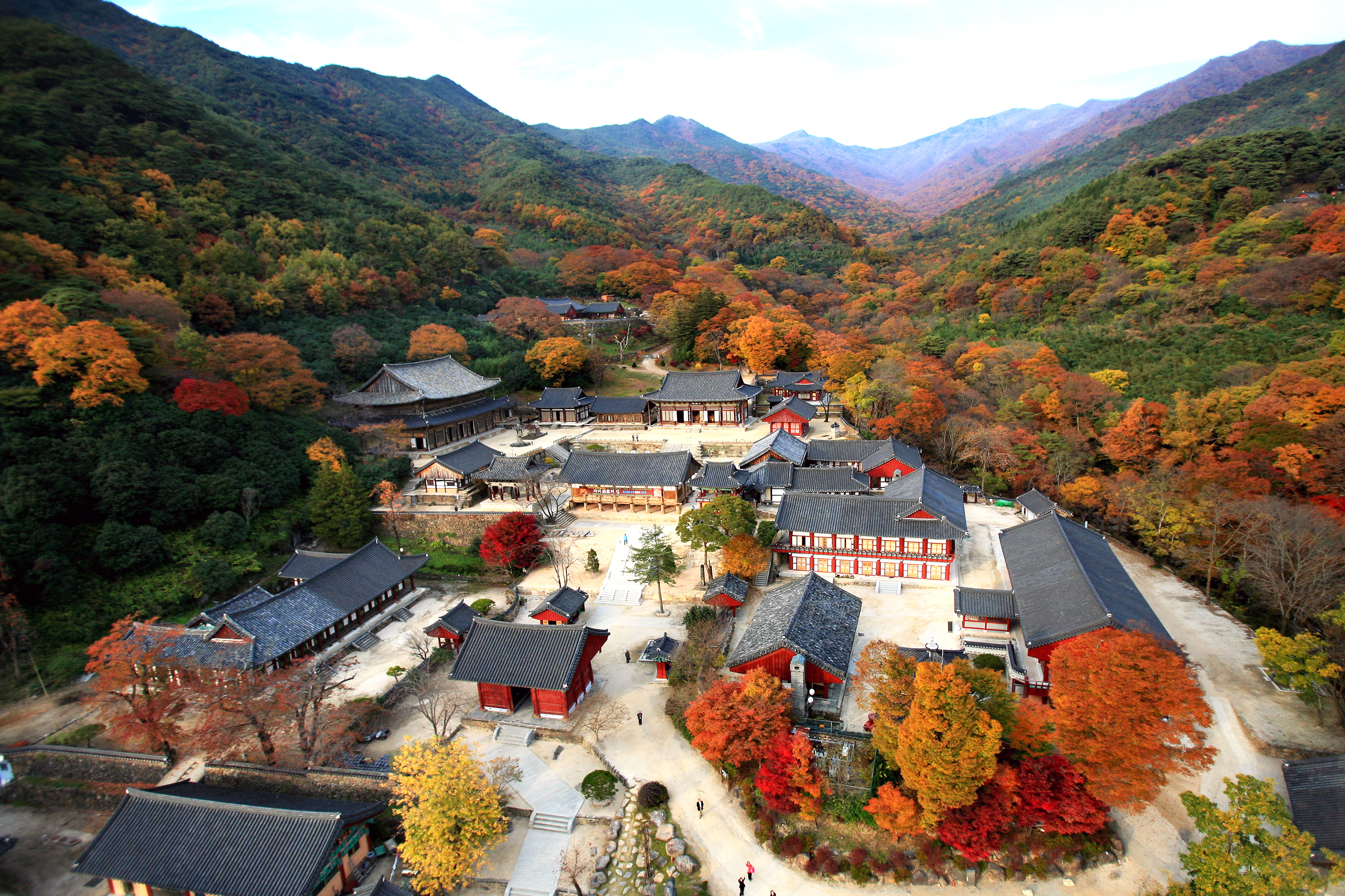 구례 화엄사 전경