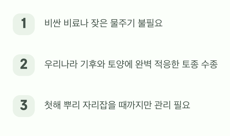 3. 까다로운 보살핌보다, 자유로운 방목을