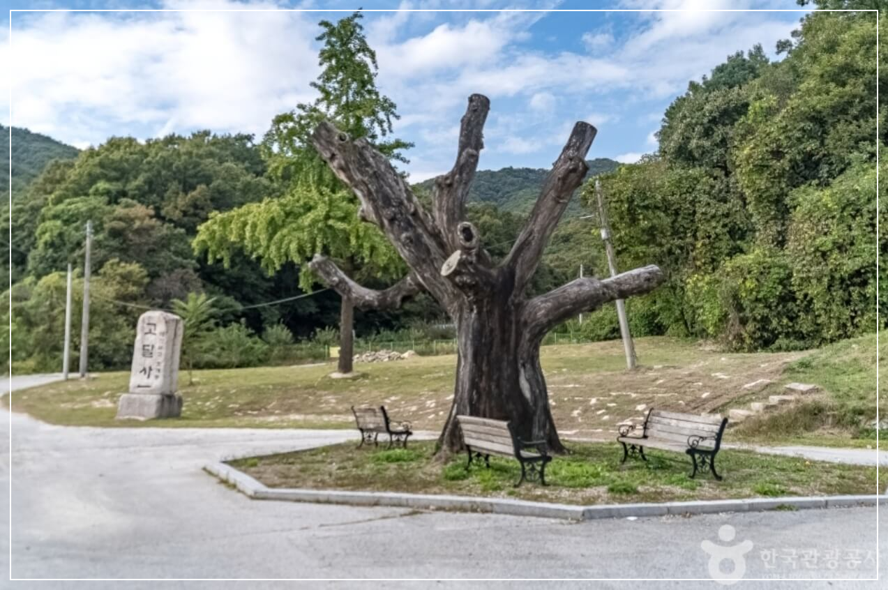 여주 가볼만한곳 베스트10 고달사지