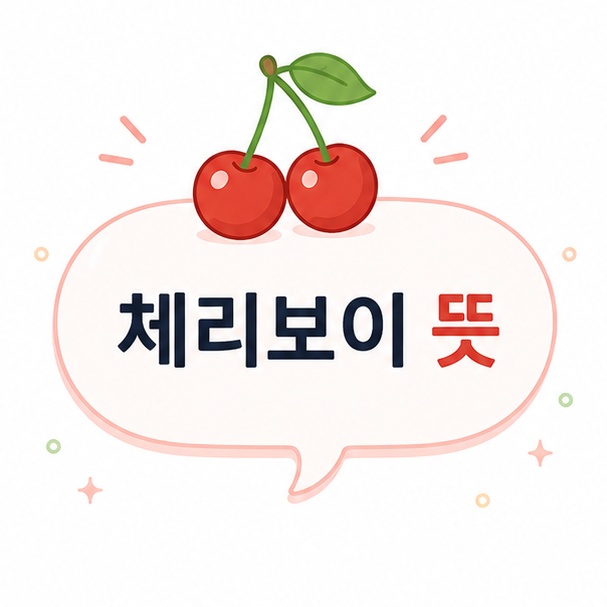 체리 아이콘과 함께 체리보이 뜻을 설명하는 이미지