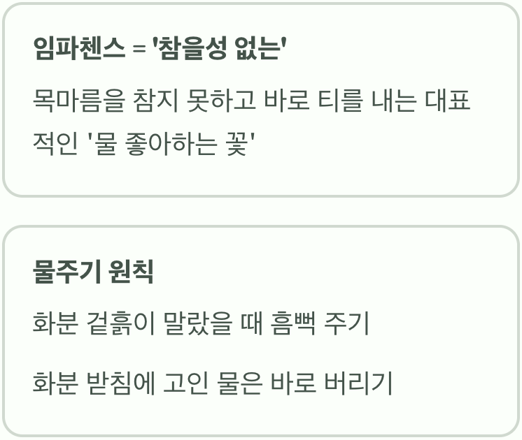 이름처럼 참을성 없는 '물주기'의 정석