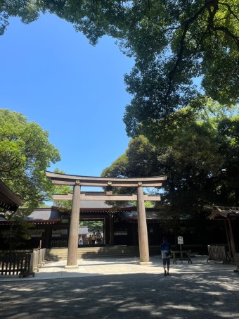 도쿄 자유여행 추천 관광명소 디즈니랜드 놀이기구 추천 TOP 7