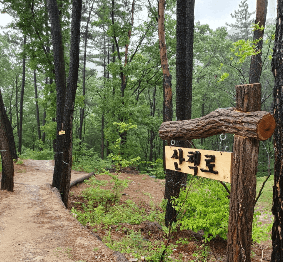 국립 달음산 자연휴양림