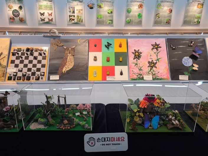 곤충표본실 전시품