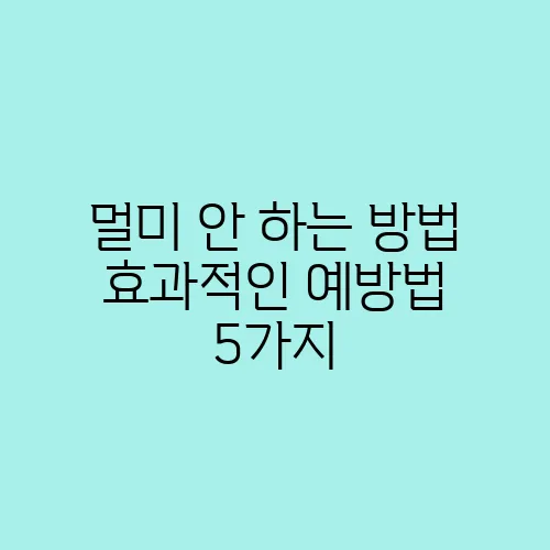 멀미 안 하는 방법 효과적인 예방법 5가지