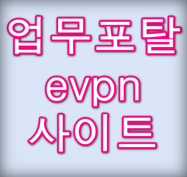 업무포탈-evpn-사이트