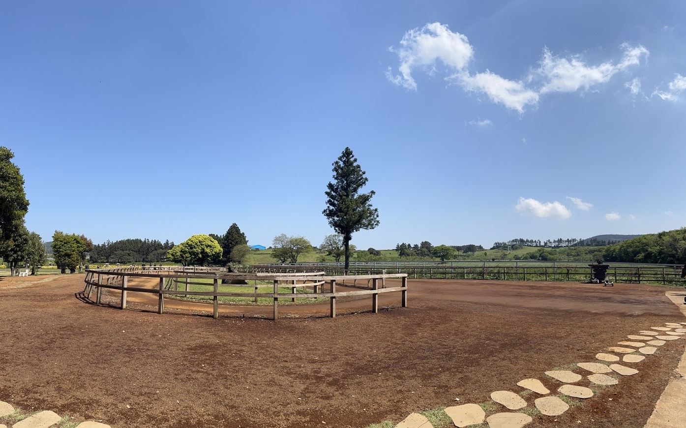 제주 목장 카페 밭디