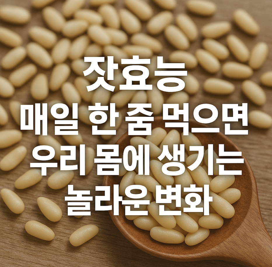 잣효능, 매일 한 줌 먹으면 우리 몸에 생기는 놀라운 변화
