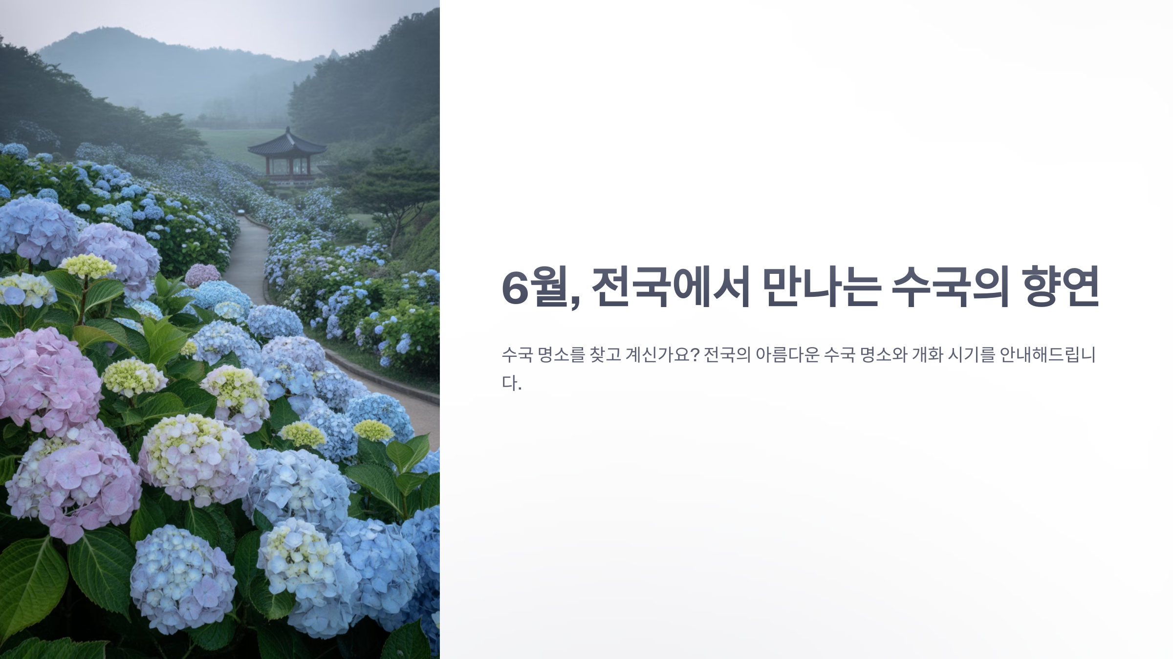 참조-수국-명소-1