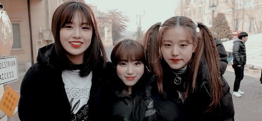 아이즈원 프로듀스48 사진 모음 아이즈원 프로듀스48 사진 모음