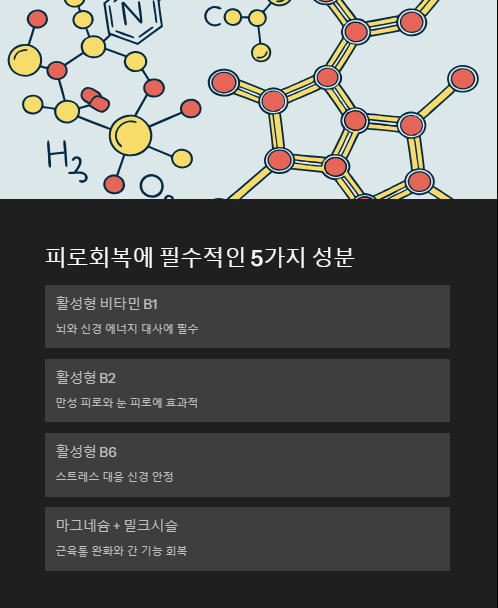 피로회복에 필수적인 5가지 성분