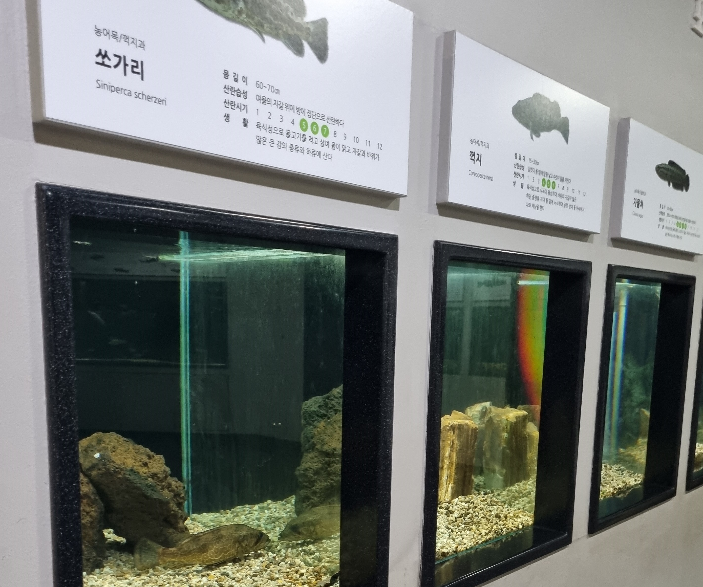 부천 가볼만한 곳 자연생태공원