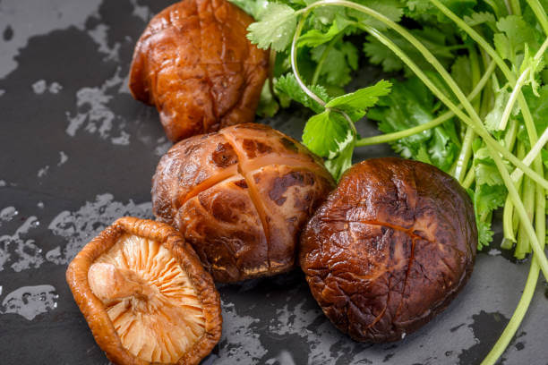 ํ๊ณ ๋ฒ์ฏ๊ตฌ์ด & ๋ฐ๋กค๋ก(Barolo) ์์ธ ํ์ด๋ง๏ฝ์ฒ์ ํฅ๊ณผ ์ฅ๋ฏธ์ ์จ๊ธฐ, ๊ณ ์ํ ๊ต์ฐจ