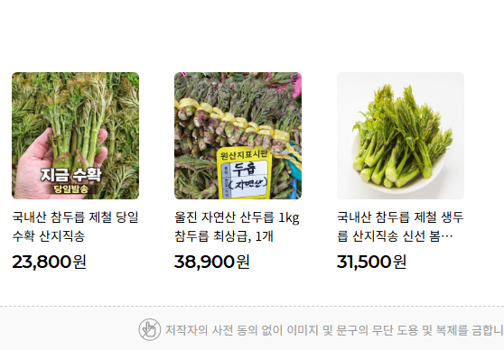 두릅 데치기 방법 알아보기