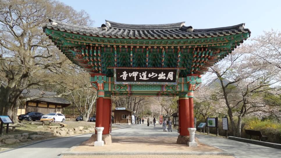 100대 명산 등산하기 서른번째 영암 월출산 기암괴석과 사계절 풍경이 빛나는 전남 명산