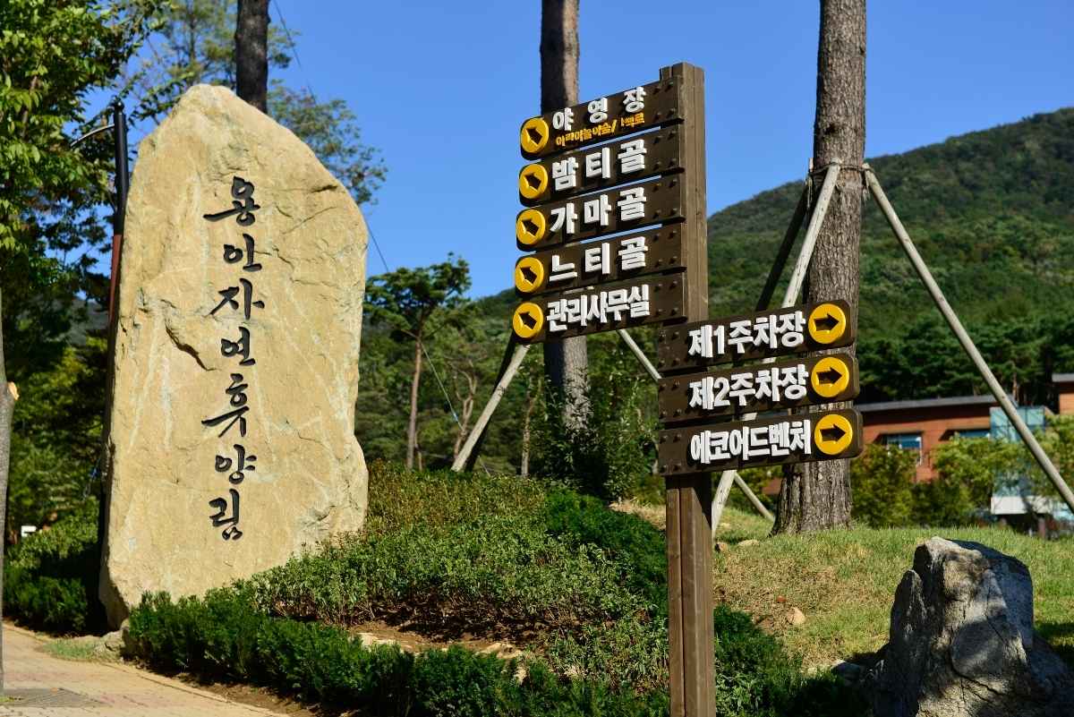 용인 자연휴양림