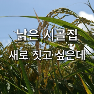 벼