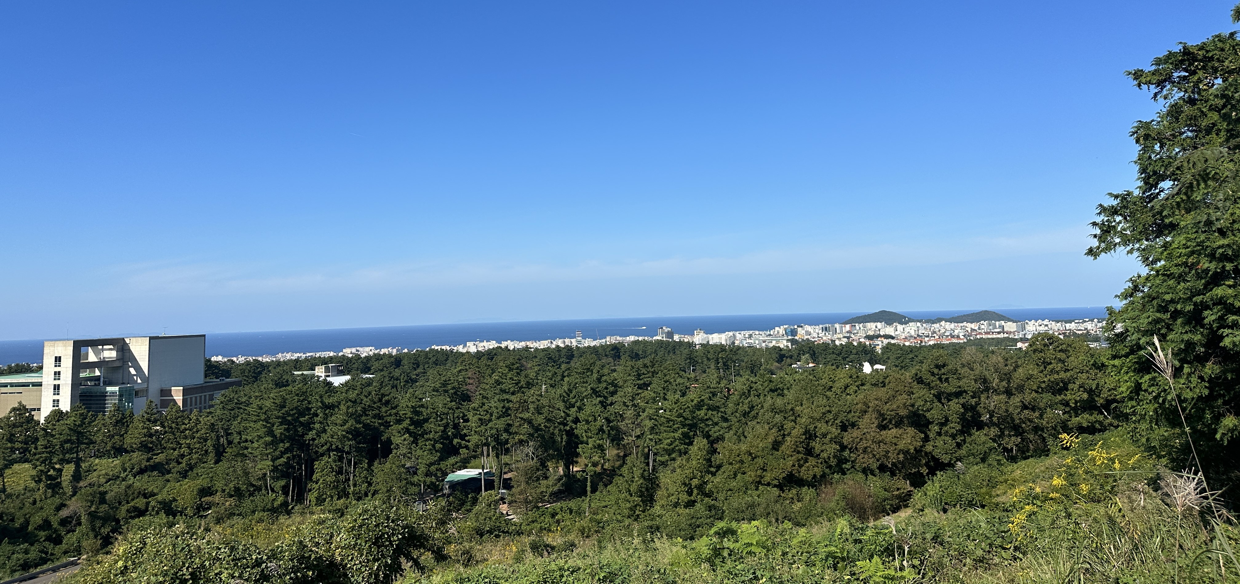 오드싱오름 산책로