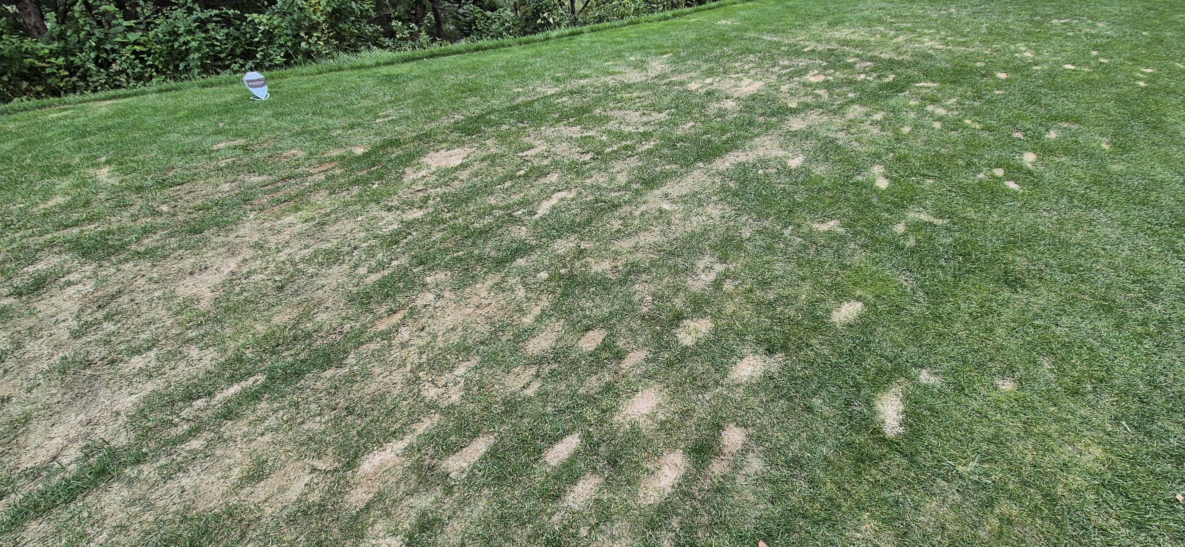 소노팰리체cc이스트