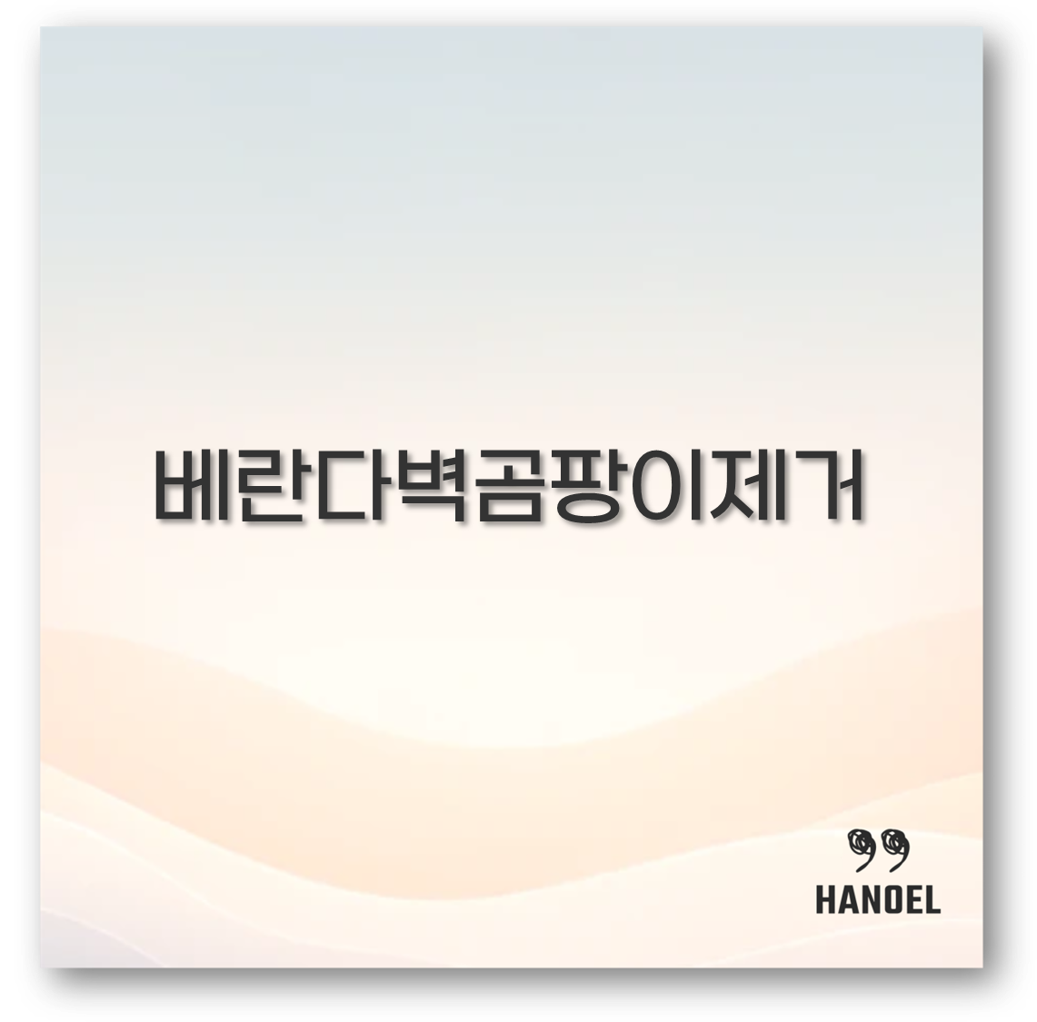 베란다벽곰팡이제거