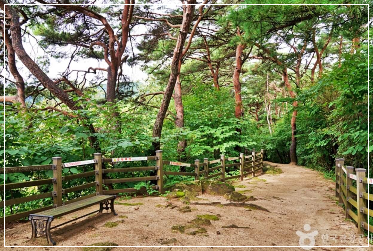 제천 가볼만한곳 베스트10 탁사정