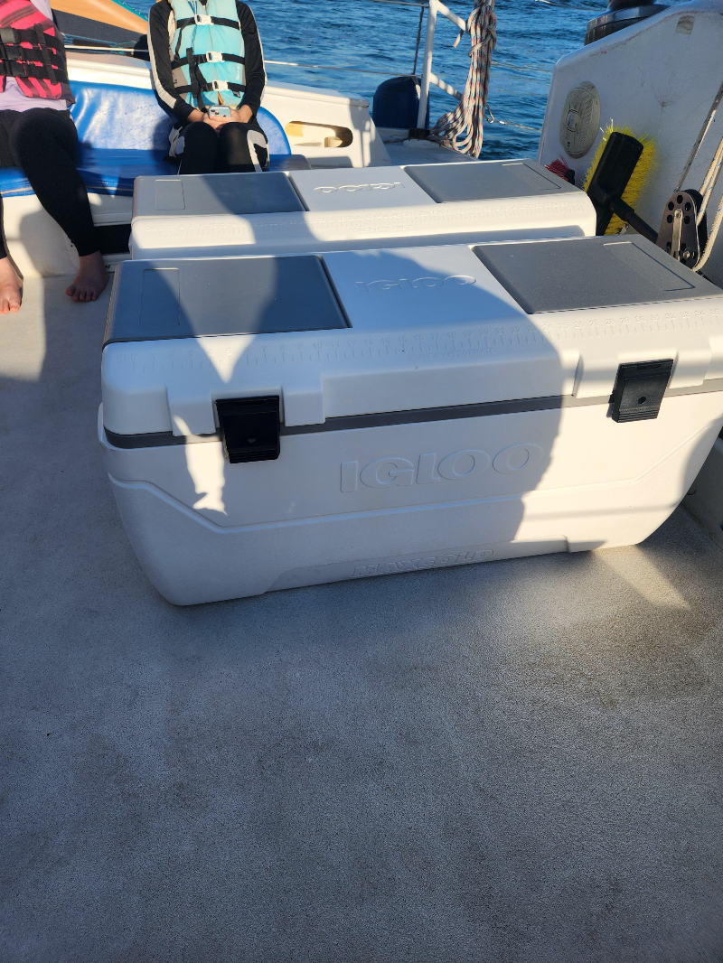 하와이 거북이 스노클링 ( 터틀 스노클링 ) 블루오션 스노클링