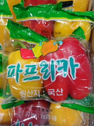 비타민C 파괴를 막기 위해 가열하지 않고 생으로 섭취하는 파프리카 효능 높이는 샐러드용 실물 사진