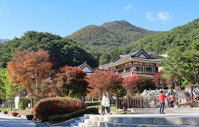 용문산과 용문사