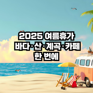 2025년 여름 휴가지 바다,산,계곡,카페 추천