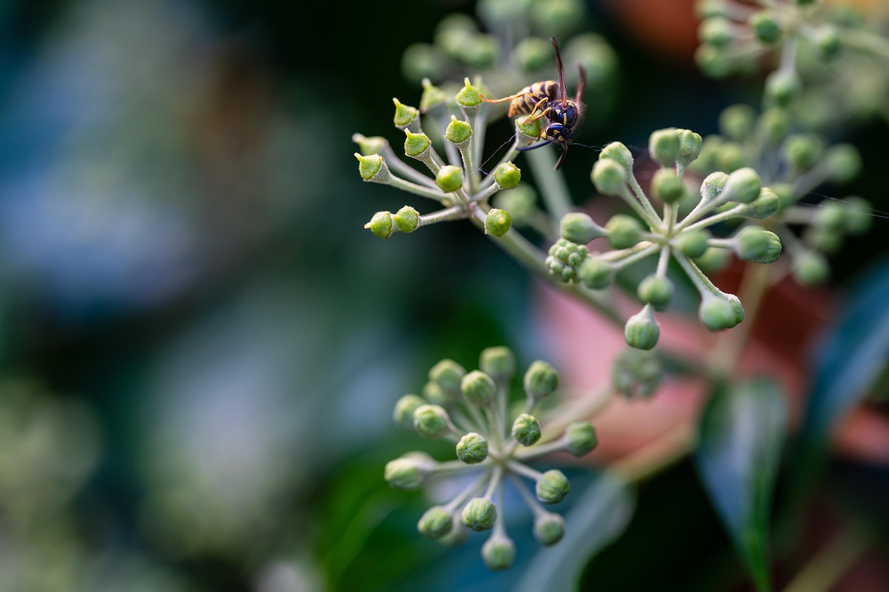 기후 변화에 대응하는 작물별 스마트팜 전략