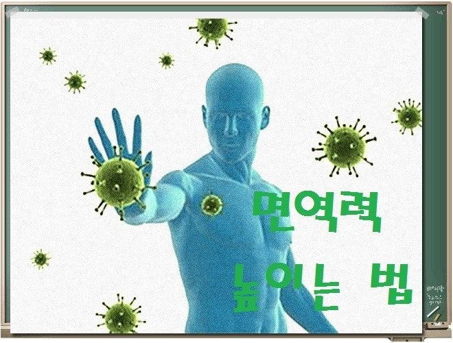 면역력