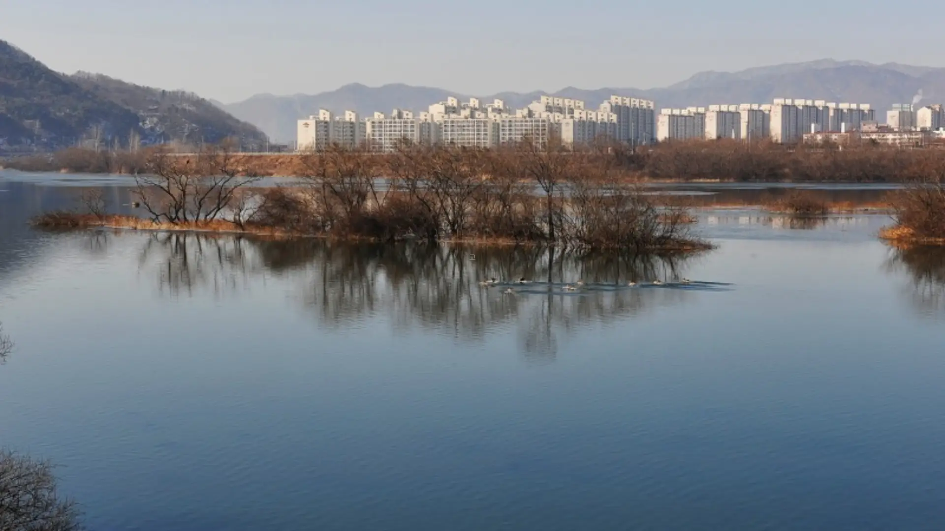 제2차 보증금지원형 장기안심주택 신규 입주자 모집공고 : SH공사