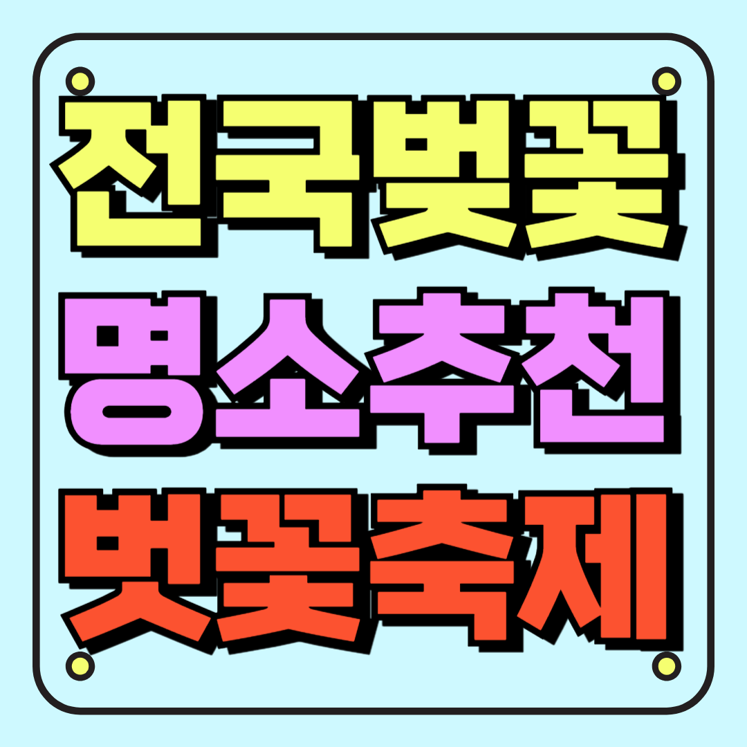 썸네일_전국벚꽃명소추천 벗꽃축제