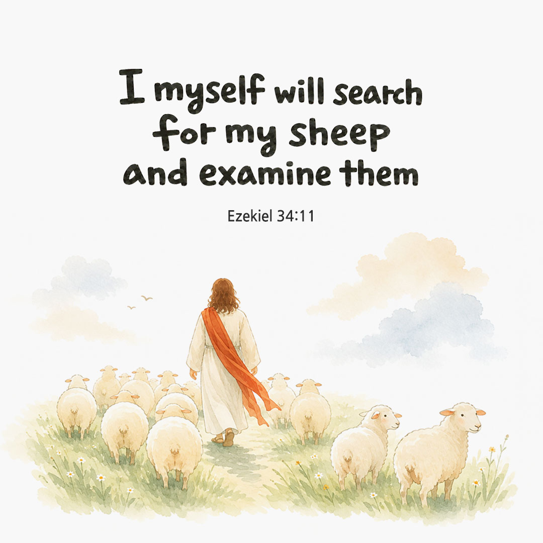 Today's Bible verse card Ezekiel 34:11 scripture image