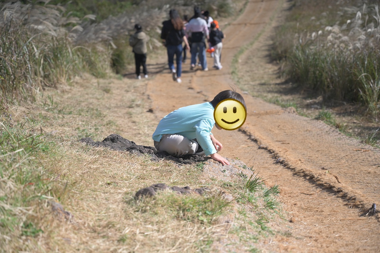 새별오름