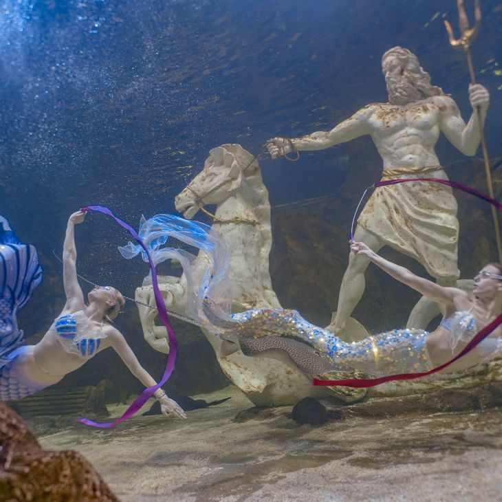 대전 엑스포 아쿠아리움