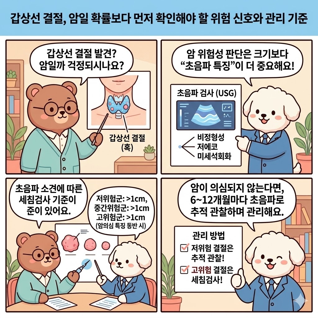 갑상선 결절, 암일 확률보다 먼저 확인해야 할 위험 신호와 관리 기준