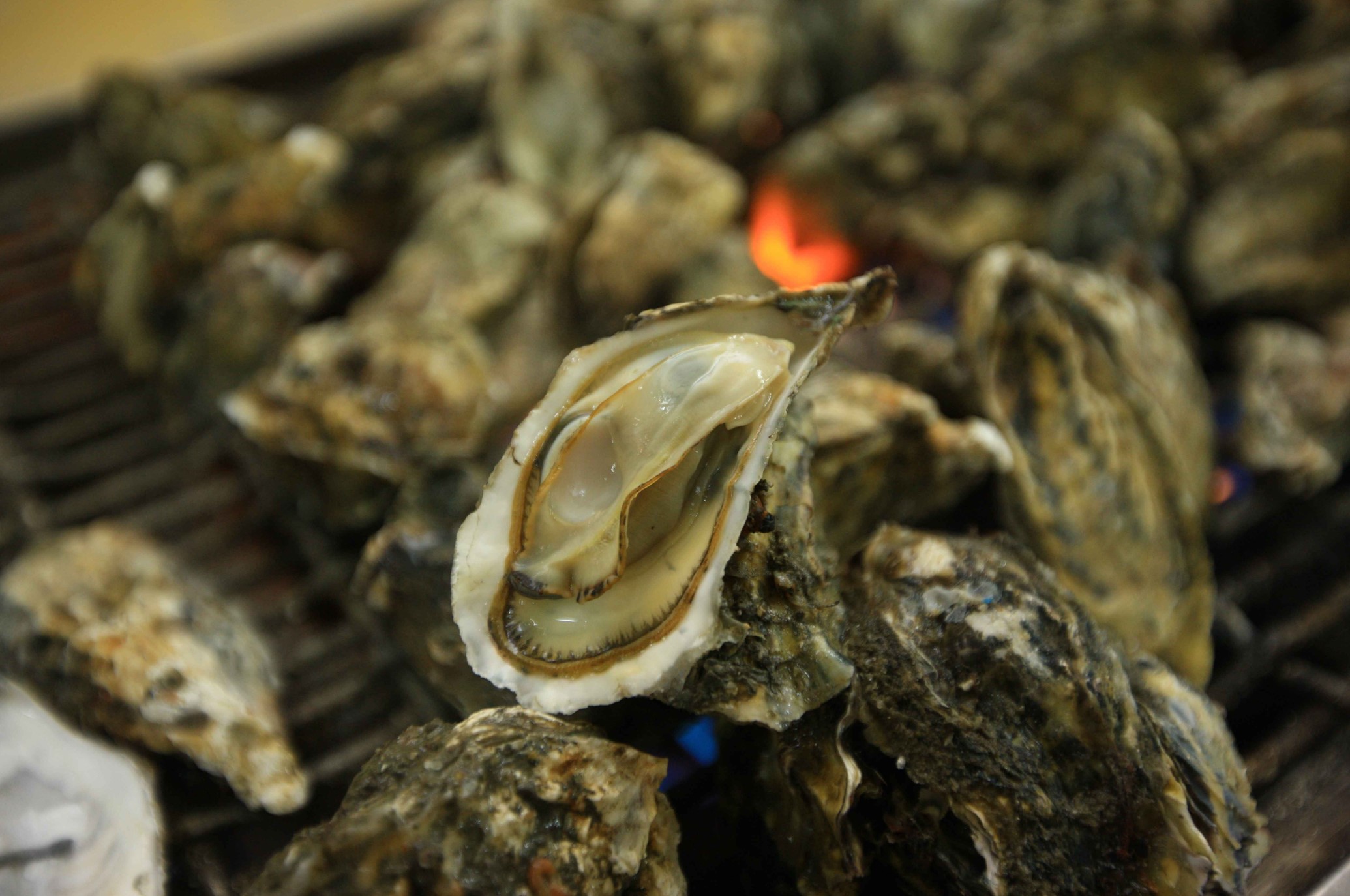 굴구이-천북굴단지