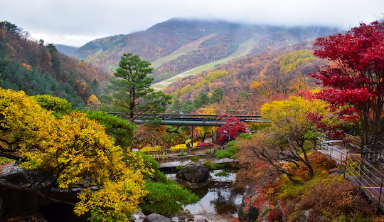 경기도 가볼만한곳 베스트 10