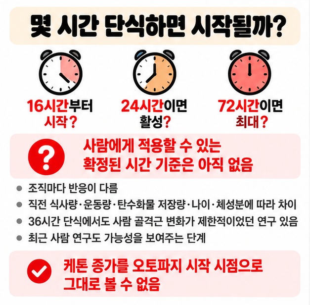 오토파지는 평소에도 일어나며 사람에게 16시간 24시간 같은 확정된 시작 시간은 없다는 근거 설명 카드