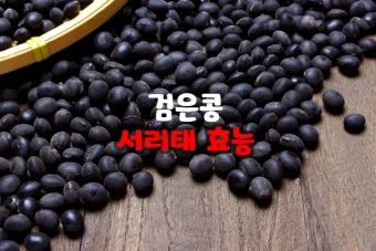 서리태 효능 콩물 만드는방법 수확시기 서리태콩 정보_20