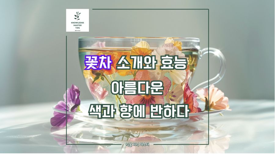 꽃차 소개와 효능, 아름다운 색과 향에 반하다