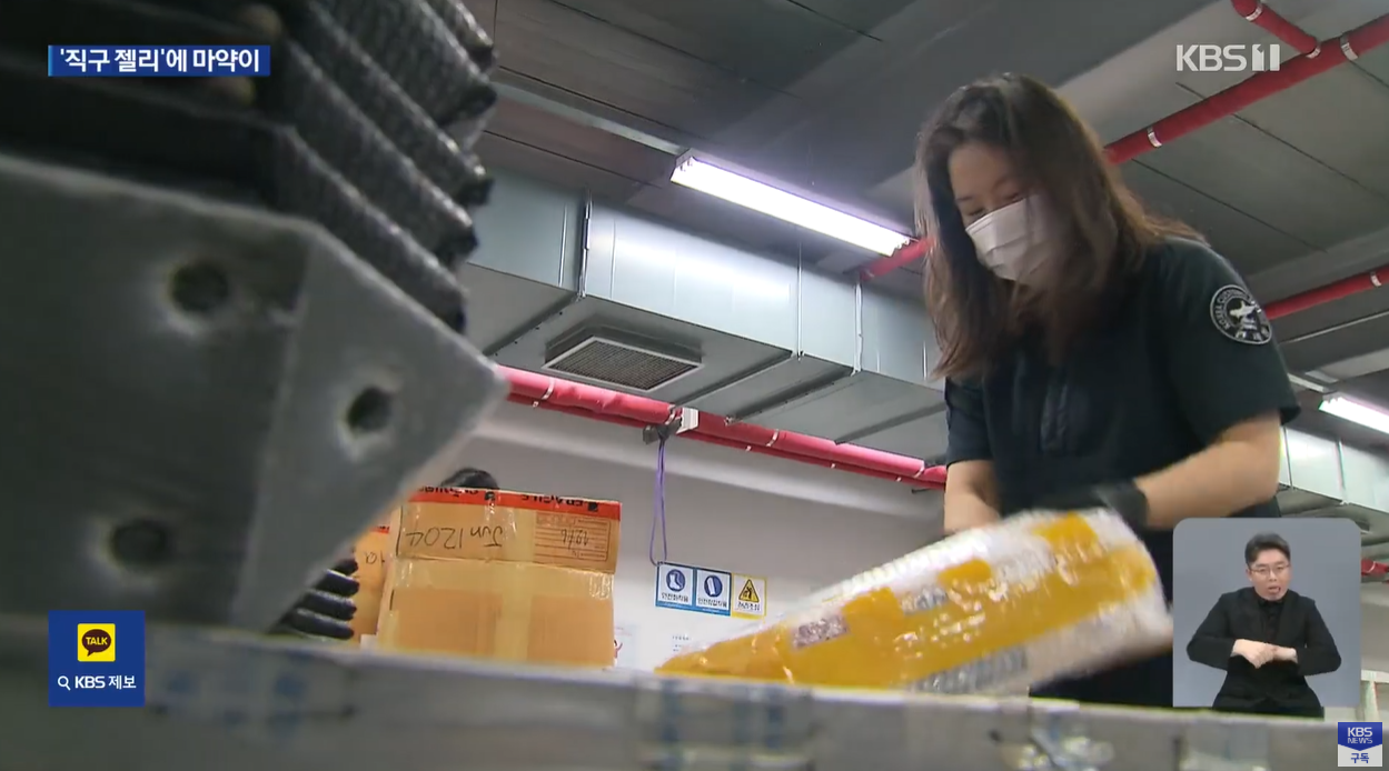 해외직구 마약성분 대마 모르핀 환각 신경계장애 국내허가 식품안전 유해식품 직구주의 불법식품 식약처경고