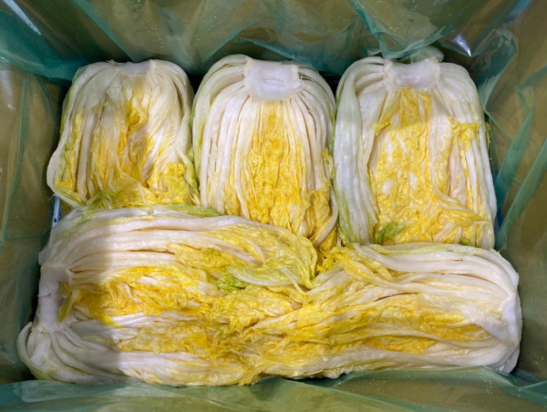 절임 배추 괴산