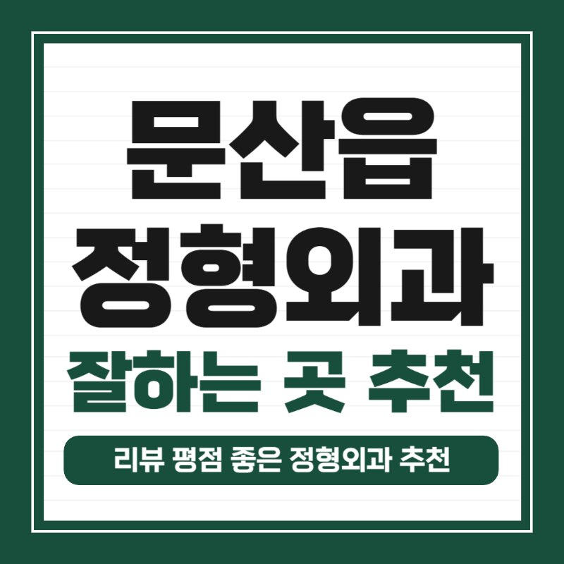 파주시 문산읍 정형외과 유명한 곳 잘하는 곳 추천 TOP 5