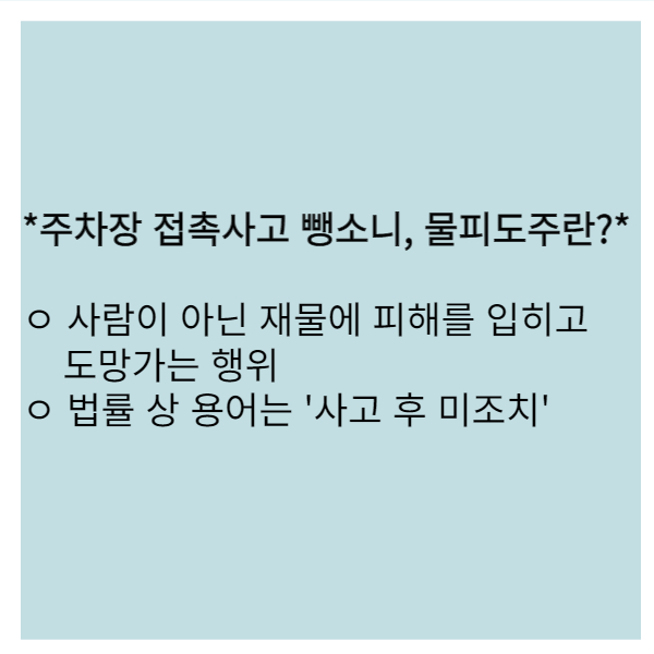 물피도주