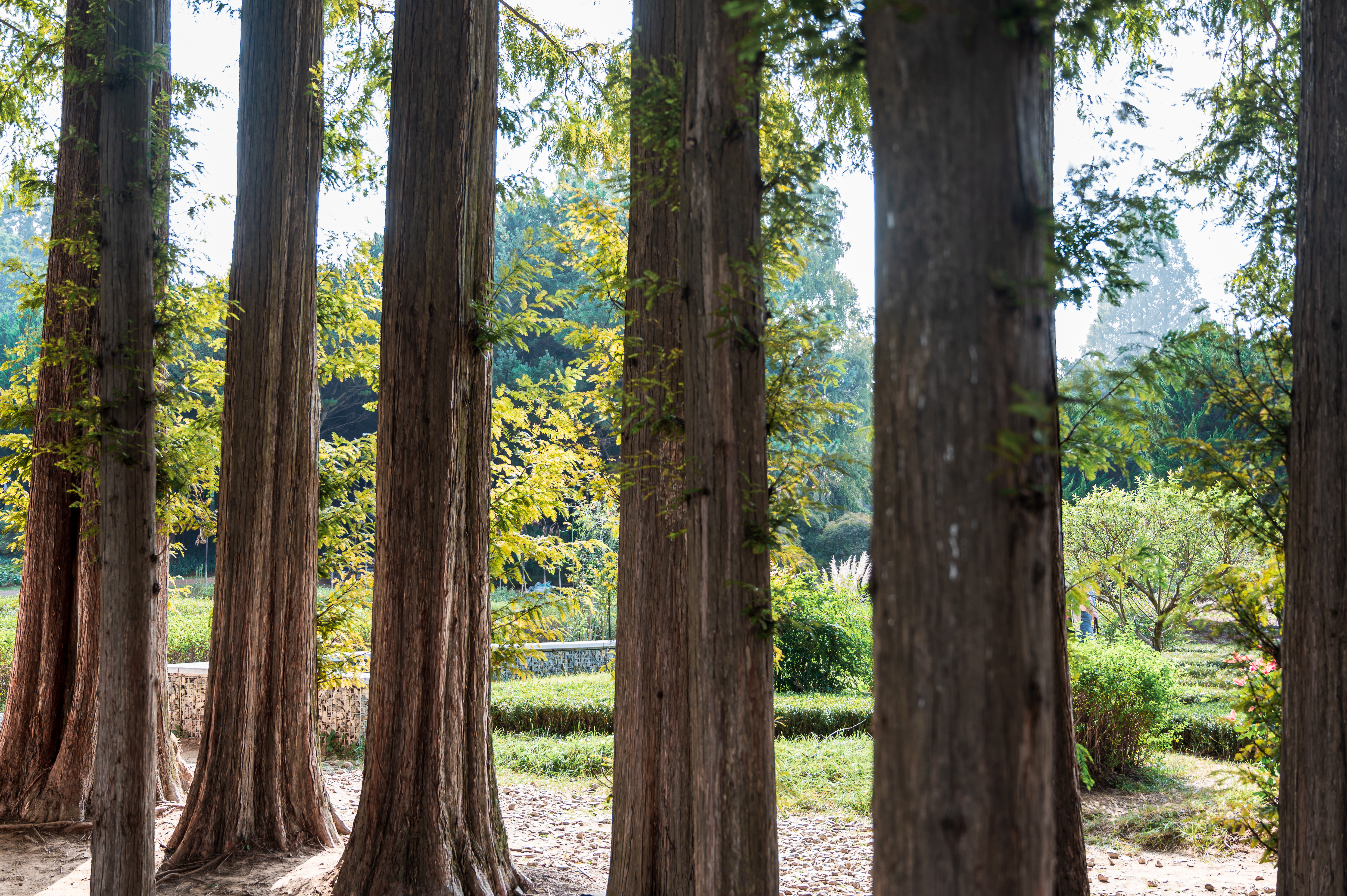 ์๊ฐํ ์ ์